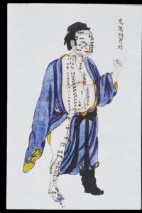 Stomach_channel_of_leg_yangming_C17-18_Chinese_book_art_Wellcome_L0039965.jpg